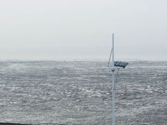 -上海棕榈滩海景酒店