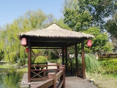 -澹台湖公园