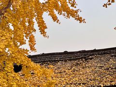 -磁器口古镇