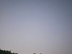 -中山市树木园