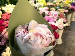 -双季花艺园艺市场(浦东店)