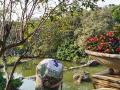 -云溪植物园