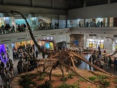 -自贡恐龙博物馆