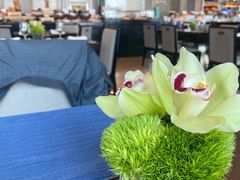 -Social 秀西餐厅-长沙瑞吉酒店(运达店)