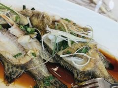 -宝荣鱼馆·临湖之宴(千岛湖店)