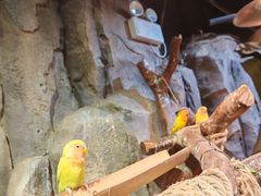 -正佳雨林生态植物园