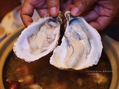 -邹开喜·炭炉鸡煲·海鲜火锅(虹口足球场店)