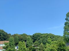 -金泽21世纪美术馆