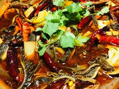 小嫩蛙爱上脆毛肚-马头巷·隐庐居·红油大虾(园区店)