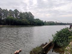 -南国桃园旅游度假区