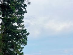 -敬亭山风景名胜区