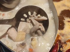 -淼福猪肚鸡·椰子鸡火锅(大沙地店)