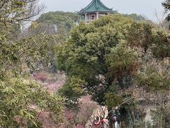 -无锡梅园公园