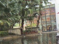 -Waterfall瀑布湾优健源(华侨城店)
