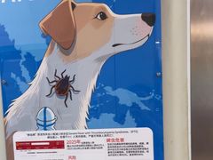 -北京观赏动物医院·24小时大型综合·猫专科·异宠专科