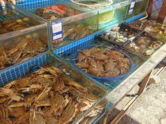 -盛华世家商业广场农贸水产综合批发市场