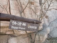 -北京西山国家森林公园