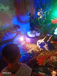 -恐龙探索乐园(磁器口店)