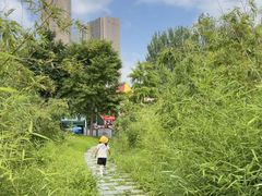 -大望京公园