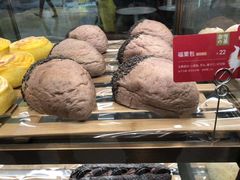-奈雪的茶(石家庄万象城店)