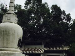 -梵天禅寺