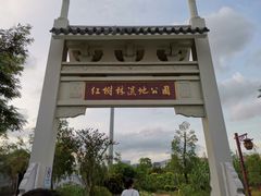 -大亚湾红树林城市湿地公园