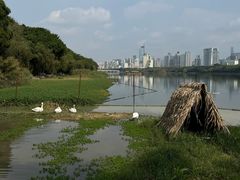 -南宁南湖公园