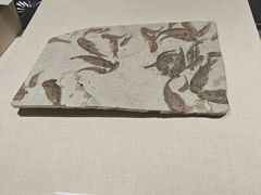 -大连金州博物馆