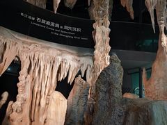 -武汉园博园(武汉自然博物馆)