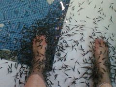 -水晶之星洗浴温泉汗蒸