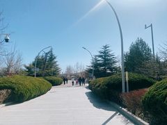 -滨河世纪广场公园