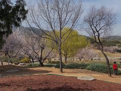 -鬼笑石后山停车场