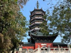 -焦山景区-万佛塔