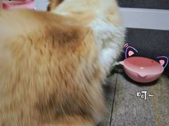 -零纪元VR体验馆·桌游(黄浦店)