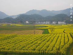 -新安江山水画廊风景区