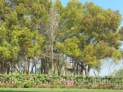-潮府馆·非遗潮州菜·港式点心(世纪公园店)