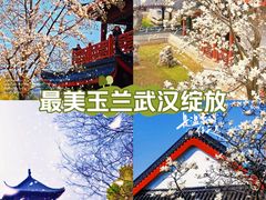 -堤角公园