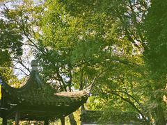 -秋霞圃