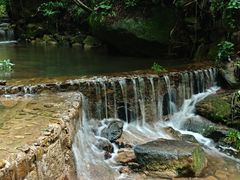 -波尔登森林公园