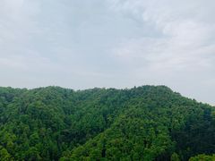 -南山植物园