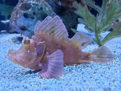 -上海海洋水族馆