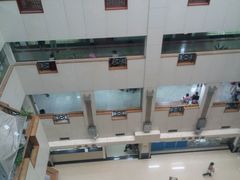 -广州中医药大学第一附属医院(总院)