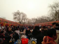 -洛阳市隋唐城遗址植物园