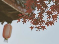 -广富林郊野公园
