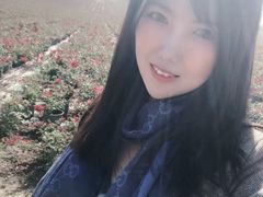-南京枫彩漫城