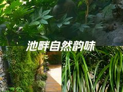 -老房子金沙元年川菜食府·花园餐厅(金沙店)