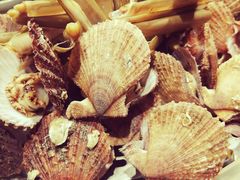 -77号渔船·蒸海鲜青岛菜(积米崖店)