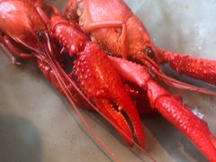 -牛New寿喜烧(新六百店)