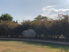 -中国科学院西双版纳热带植物园