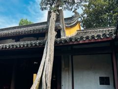 -太平天国侍王府
